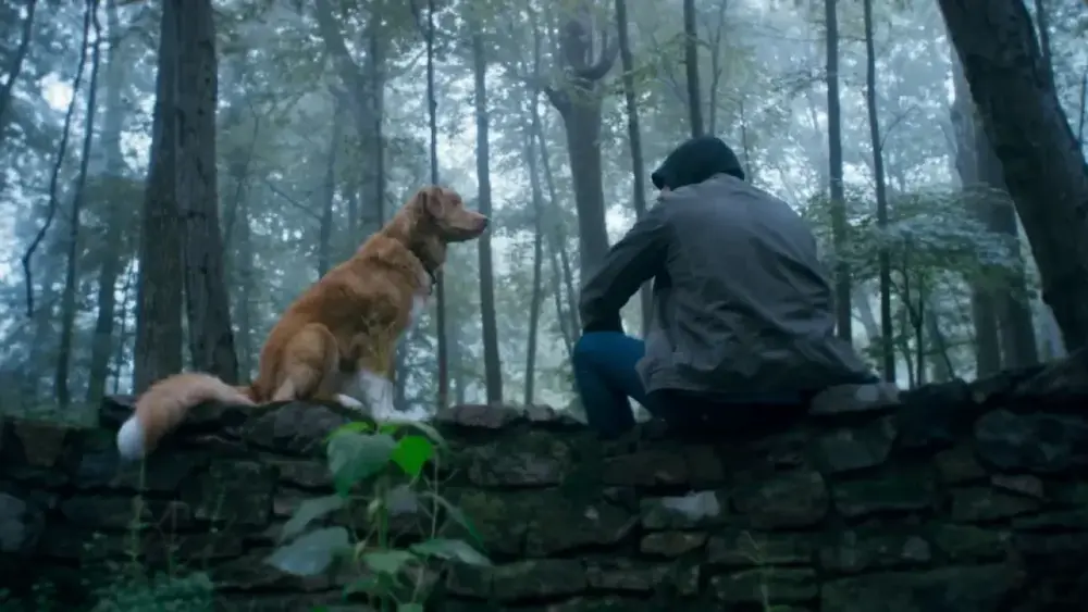 Melhores filmes de terror com animais para ver